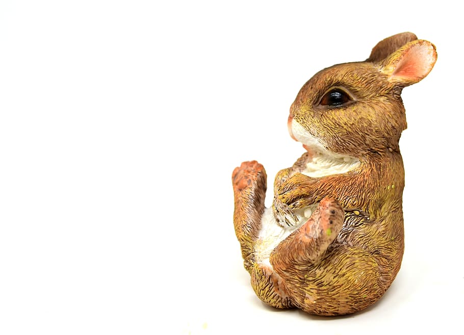 Pasqua, conill de Pasqua, figura, divertit, Feliç Pasqua, figures de Pasqua, llebre, decoració de pasqua, text dom, bonic, animal, tir de l'estudi, fons blanc, mamífer, temes d'animals, conill - animal, a l'interior, còpia espai, cap gent, tallar, un animal, vertebrats, nacional, representació animal, primer pla, animals domèstics, mascotes, representació, rosegador, fauna animal, 4K