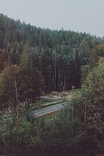 asphalt road, trees, daylight, environment, flora, forest, high angle shot, landscape, light, mountain, nature, outdoors, park, river, road, scenic, travel, woods, plant, tree, growth, land, tranquility, tranquil scene, no people, beauty in nature, sky, scenics - nature, non-urban scene, day, green color, field, idyllic, coniferous tree, 2K, CC0, public domain, royalty free