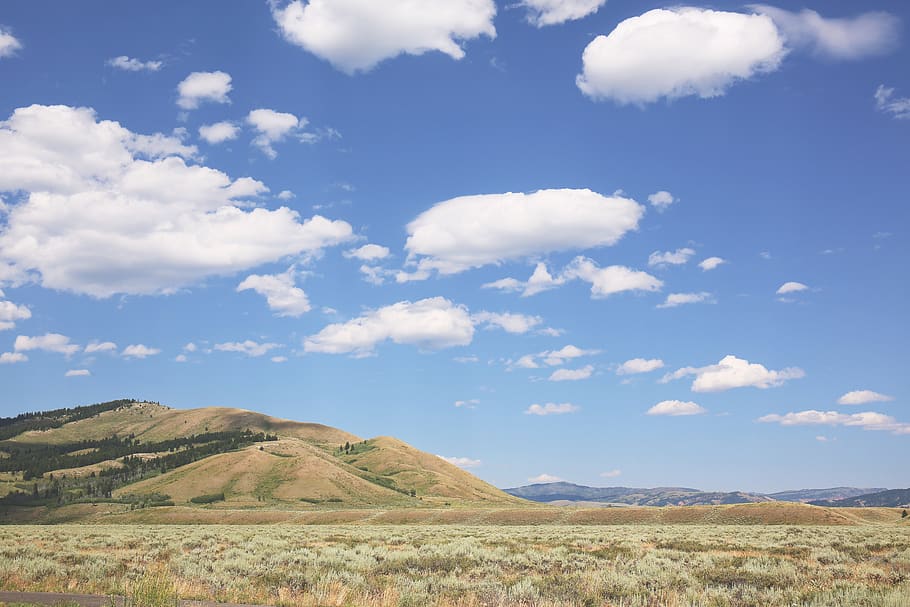 Wolken, Hintergrund, Desktop, Natur, Hügel, Berg, Wyoming, Ausflug, draußen, Gras, Himmel, wolke - himmel, Szenen - Natur, Landschaft, Umgebung, Schönheit in der Natur, ruhige Szene, Ruhe, Land, Nicht-städtische Szene, Tag, keine Leute, Pflanze, Fernbedienung, idyllisch, Sonnenlicht, Feld, 5K