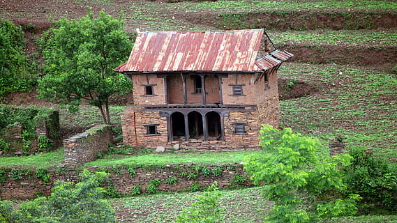 nepal, dhading, arquitectura, estructura construïda, exterior de l'edifici, planta, vell, color verd, edifici, cap gent, abandonat, dia, creixement, naturalesa, espatllat, arbre, història, obsoleta, aixafar, el passat, casa, deteriorament, arruïnat, teula de teulada, 5K, CC0, domini públic, lliure de regalies