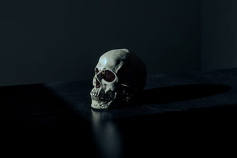 dark, skull, bone, table, reflection, human skeleton, human skull, fear, horror, skeleton, spooky, indoors, halloween, human bone, human body part, still life, mystery, black background, body part, 4K