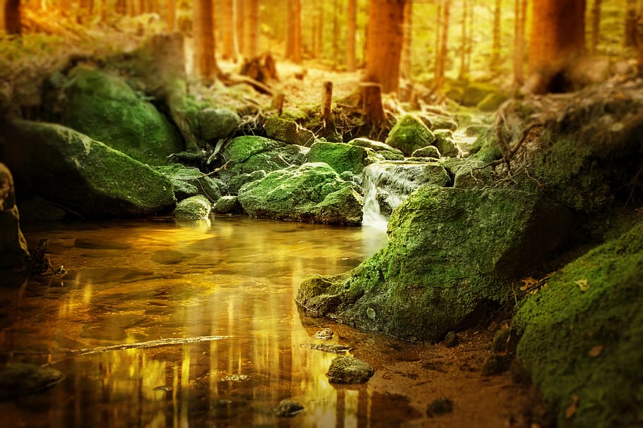 floresta, cascata, bach, Rocha, arvores, panorama, natureza, iluminação, musgo, conto de fadas, imagem de fundo, águas, místico, reflexão, espelhamento, curso de água, emoção, sonhadores, descansar, silencioso, solitário, luz solar, agua, sólido, cor verde, ninguém, plantar, rock - objeto, movimento, árvore, dia, foco seletivo, terra, tranquilidade, baixar, Exposição longa, parte da planta, ao ar livre, água corrente, fluindo, floresta tropical, 4K