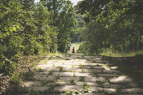 arbres verts, chemin, Roumanie, jardin botanique anastasie fătu, iasi, arbre, route, gravier, chemin de terre, enfant, dalle, ombre, feuilles, la nature, en plein air, des bois, forêt, jardin, lumière du soleil, feuille, plante, direction, Vrais gens, journée, croissance, la voie à suivre, couleur verte, transport, modes de vie, sentier, vue arrière, Activité de loisir, Hommes, en marchant, femmes, terre, beauté dans la nature, 5K, CC0, domaine public, libre de droits