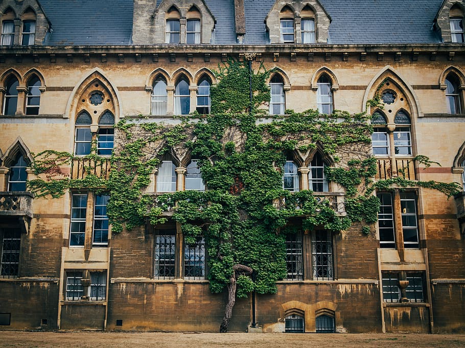 Fenster, Gebäude, Baum, Pflanze, die Architektur, Gehweg, Pfad, Oxford, Christ Church College, Dach, Turm, draußen, Gehäuse, Wand, Campus, Verschluss, Vorhang, Efeu, Garten, städtisch, gebaute Struktur, Gebäudehülle, Bogen, Tag, Wohngegend, keine Leute, Stadt, Natur, Wachstum, Haus, alt, Transport, Eingang, Wohnung, 4K