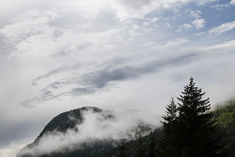 Forrest, himmel, træ, bjerg, tåge, Sky, sky - himmel, skønhed i naturen, plante, scenics - natur, ro, rolig scene, natur, ingen mennesker, lav vinkel visning, dag, ikke-urbane scene, udendørs, miljø, bjergkæde, idyllisk, fjern, nåletræ, bjergtop, 5K, CC0, offentligt domæne, royaltyfrie