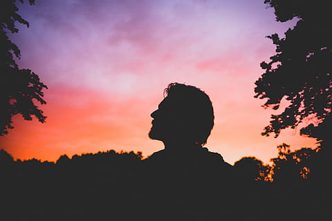 himmel, solnedgang, mørk, trær, planter, utendørs, silhouette, mennesker, Mann, hodeskudd, én person, portrett, anlegg, skjønnhet i naturen, natur, oransje farge, sky - himmel, tre, livsstil, ekte folk, ro, menn, fritidsaktivitet, barn, 4K, CC0, offentlig domene, opphavsrett gratis