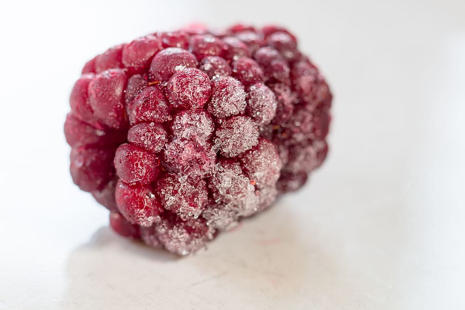 macro, dinar, vermell, gel, ze, fruita, framboise, gerds, gelat, menjar i beguda, menjar, frescor, fruites de baies, a l'interior, menjar dolç, alimentació saludable, cap gent, primer pla, fons blanc, tir de l'estudi, llest per menjar, natura morta, dolç, centrar-se en primer pla, indulgència, postres, temptació, berenar, condició natural, 5K