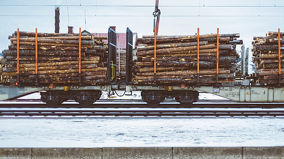 tog med logs, tog, log, træ, transportere, tømmer, transportmidler, træ log, jernbane, last, spore, bære, vinter, jernbane bil, slæbe, sne, light rail, togspor, arkitektur, ingen mennesker, kold temperatur, dag, natur, jernbanespor, jernbanetransport, bygget struktur, industri, himmel, transportform, bygning udvendig, metal, udendørs, træ - materiale, 4K, CC0, offentligt domæne, royaltyfrie