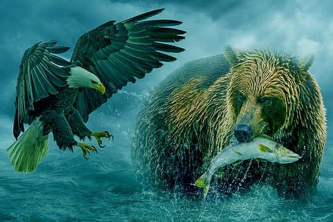 manipulation, animal, bear, eagle, fish, fishing, ocean, sky, animals in the wild, animal wildlife, animal themes, vertebrate, water, flying, spread wings, group of animals, bird, nature, motion, sea, no people, day, outdoors, mid-air, animal body part, splashing, turquoise colored, 5K, CC0, public domain, royalty free