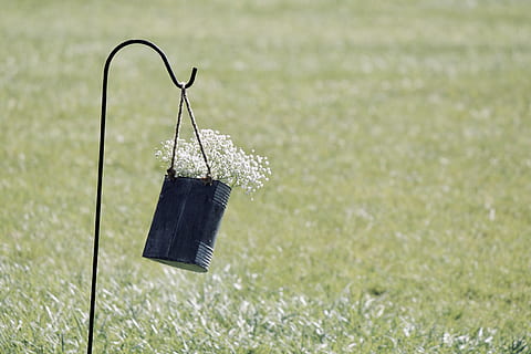 bryllup, forår, sommer, rustik, lade, blomster, grøn, hvid, detaljer, natur, tæt på, udendørs, græs, plante, ingen mennesker, dag, fokus på forgrunden, hængende, grøn farve, selektiv fokusering, metal, fravær, enkelt objekt, Mark, kopiere plads, mad og drikke, vækst, ro, 2K, CC0, offentligt domæne, royaltyfrie