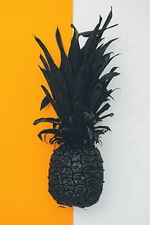 fruita de pinya negra, fruita, pinya, planta, menjar, fotografia de scott webb, Canadà, Londres, pis pla, despeses generals, negre, Halloween, taronja, arrel, plàtan, vegetals, produir, codony, bronze, porro, tropical, fruita tropical, a l'interior, alimentació saludable, cap gent, tir de l'estudi, menjar i beguda, frescor, benestar, primer pla, color taronja, tallar, groc, natura morta, naturalesa, creixement, color negre, sol objecte, 5K, CC0, domini públic, lliure de regalies