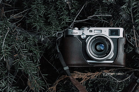 black, gray, film camera, case, green, pine tree, leaves, creative, exploring, camera, vinatge, camera gear, flatlay, create, forest, wood, explore, artistic, foliage, retro, vintage, goodmorning, hdwallpaper, background, wallpaper, camera - Photographic Equipment, retro Styled, old-fashioned, old, equipment, backgrounds, single Object, technology, photography Themes, lens - Optical Instrument, antique, obsolete, black Color, photograph, classic, no People, hobbies, image, 5K, CC0, public domain, royalty free