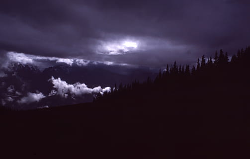 karanlık, gece, bulutlar, gökyüzü, ağaçlar, doğa, gölge, bulut - gökyüzü, fırtına, sağanak, cloudscape, dramatik gökyüzü, doğada güzellik, fırtına bulutu, uğursuz, manzaralar - doğa, siluet, bulutlu, insansız, ürpertici, çevre, peyzaj, doğadaki güç, açık havada, meteoroloji, mor, 4K
