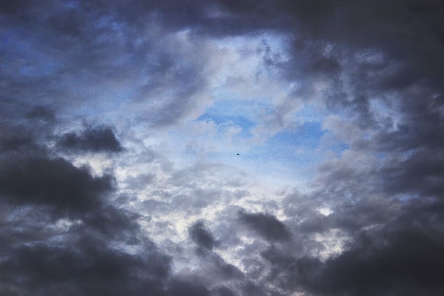 himmel, fugl, storm, skyer, bakgrunns, dom, brasil, brazil, sky - himmel, ingen folk, lav vinkel visning, skjønnhet i naturen, natur, clouds, flying, naturskjønnhet - natur, dramatisk himmel, overskyet, dyr, bakgrunn, dyre temaer, ro, humøraktig himmel, virveldyr, blå, utendørs, meteorologi, 5K