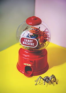 automat, fundal, luminos, gândac, bomboane, mașină bomboană, copii, a închide, colorat, decor, lucios, insectă, vesel, maşină, pictat, pasiune, jucăuş, pop, roșu, rewind, infricosator, defilare, păianjen, Înfricoșător, umplutură, fundal pentru telefon, galben, nici o persoana, în interior, text, western script, comunicare, studio shot, recipient, natură moartă, fundal colorat, borcan, jucărie, să se concentreze asupra primelor elemente, sticlă - material, transparent, animal, tehnologie, masa, 5K, CC0, domeniu public, fără drepturi de autor