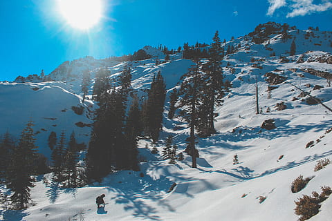 snowfield ağaçlarda, doğa, ağaç, bitki, açık havada, abies, köknar, dağ, kar, eğim, buz, kozalaklı ağaç, yürüyüş, pist, insan, Spor Dalları, spor, kişi, manzara, kar yağışı, macera, soğuk hava, kış, doğada güzellik, manzaralar - doğa, Güneş ışığı, huzur, gökyüzü, sakin sahne, kentsel olmayan sahne, gün, güneş ışını, Güneş, insansız, Beyaz renk, Karla kaplı dağ, dağ silsilesi, mercek parlaması, parlak, 5K, CC0, kamu malı, telif ücretsiz