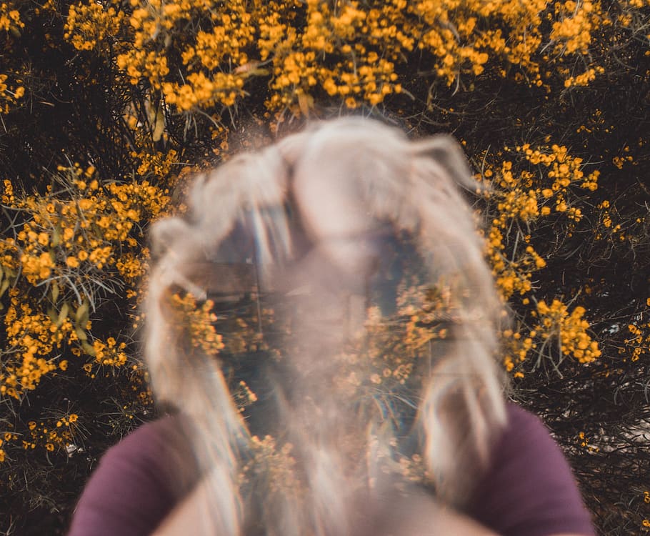 flowe giallo petalo, fiore, las vegas, stati Uniti, luce, natura, ritratto, persona, asfalto, capelli, fogliame, doppia esposizione, giallo, sfocatura, Fontana, acqua, cespuglio, flora, vegetazione, pianta, colpo alla testa, una persona, adulto, autunno, retrovisore, acconciatura, albero, donne, messa a fuoco selettiva, capelli lunghi, giorno, all'aperto, attività di svago, foresta, volto oscurato, Capello umano, 2K
