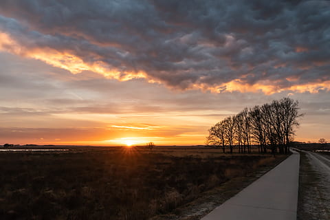 sunset, cycling, path, trees, nature, away, landscape, spring, trail, hiking, sky, cloud - sky, beauty in nature, scenics - nature, plant, tree, tranquil scene, tranquility, orange color, environment, no people, idyllic, land, field, sun, outdoors, 5K, CC0, public domain, royalty free