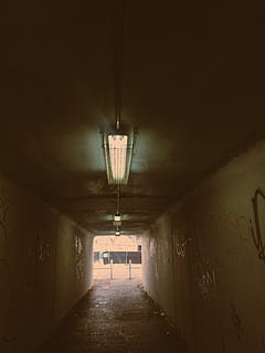 rettangolare, plafoniere accese, dentro, corridoio, architettura, la strada davanti, direzione, attrezzatura per l'illuminazione, caratteristica della parete, in casa, tunnel, illuminato, struttura costruita, vuoto, nessuno, costruzione, soffitto, graffiti, portico, stretto, luce alla fine del tunnel, parete, assenza, luce, prospettiva decrescente, buio, lungo, vicolo, passerella sotterranea, 4K, CC0, dominio pubblico, privo di copyright