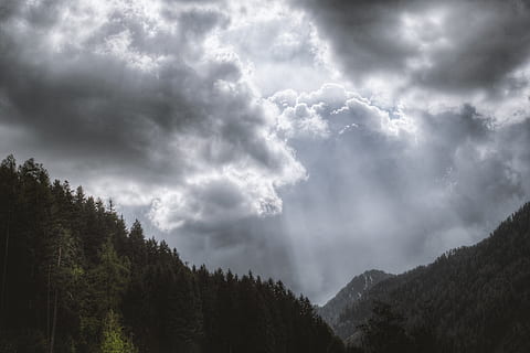 fotografia, pins, ennuvolat, cel, núvol, núvols, cloudscape, coníferes, medi ambient, avets, bosc, naturalesa, raigs solars, arbres, boscos, arbre, núvol - cel, planta, bellesa a la natura, escenics - natura, tranquil·litat, escena tranquil·la, cap gent, muntanya, escena no urbana, dia, creixement, a l'aire lliure, vista d’angle baix, terra, 2K, CC0, domini públic, lliure de regalies