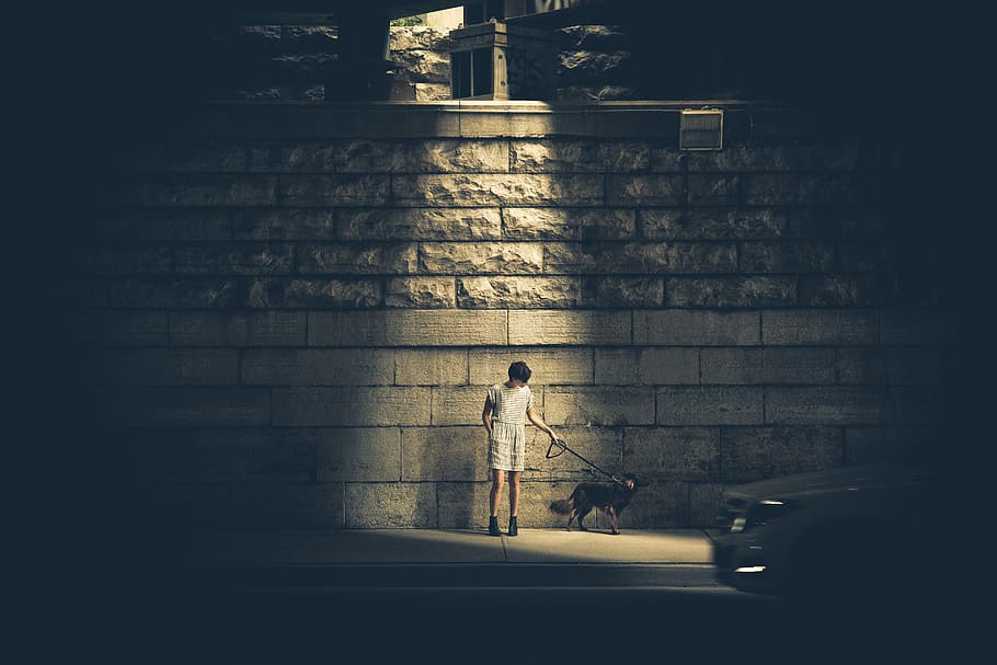 noi, sol, gos, nit, urbà, fantasmal, por, fosc, fanal, nen, mascota, gent, persona, trist, noia, dona, vestit, faldilla, animal, corretja, carrer, carretera, vorera, maó, paret, pedres, botes, llum, brilli, una persona, arquitectura, longitud completa, estructura construïda, funció de construcció de parets, de peu, escala, persones reals, exterior de l'edifici, paret de maó, homes, dia, edifici, a l'aire lliure, infància, 5K