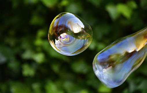 soap bubbles, bubbles, float, reflection, fun, weightless, bubble, sphere, transparent, fragility, vulnerability, soap sud, nature, mid-air, close-up, focus on foreground, shape, day, geometric shape, bubble wand, outdoors, tree, no people, multi colored, shiny, 5K, CC0, public domain, royalty free