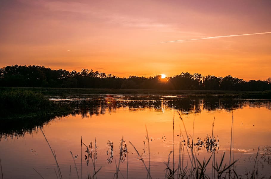 riu, posta de sol, sol, paisatge, cel, Polònia, naturalesa, aigua, reflexió, tarda, oest, Zachod, estiu, el sol, la bellesa de la natura, bellesa, núvols, vista, xarampió, taronja, plantes, arbre, el rerefons, fons, negre, color, llac, tranquil·litat, bellesa a la natura, escena tranquil·la, escenics - natura, planta, color taronja, núvol - cel, cap gent, escena no urbana, a l'aire lliure, llac de reflexió, 1080P