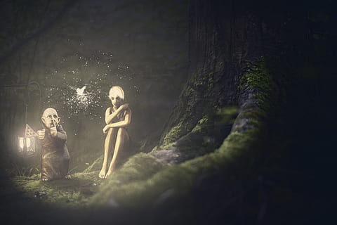 comporre, elfi, foresta, lanterna, fiaba, fantasia, tassa, sedersi, umore, creature mitiche, albero, natura, due persone, pianta, uomini, persone, terra, in piedi, adulto, infanzia, solidarieta, lunghezza intera, messa a fuoco selettiva, emozione, all'aperto, giorno, maschi, persone reali, donne, 5K, CC0, dominio pubblico, privo di copyright