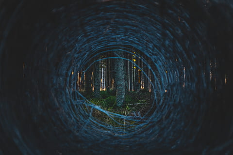 grå barbwire, cirkel, ingen mennesker, geometrisk form, form, plante, natur, selektiv fokusering, dag, udendørs, tæt på, træ, vand, arkitektur, tunnel, tekstureret, skønhed i naturen, fokusere på baggrund, vækst, design, godt, koncentriske, 5K, CC0, offentligt domæne, royaltyfrie