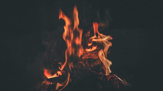 Flamme, schwarz, Hintergrund, Feuer, Yangon, Myanmar, Lagerfeuer, Orange, brennen, hd, hd w, Probe, Instagram, Zeitleiste, Strandnacht, Myanmar Strand, benutzen, Strand, stockdunkel, Leuchtkäfer, Tonhöhe, es, Verbrennung, Feuer - natürliches Phänomen, Hitze - Temperatur, orange Farbe, Bewegung, glühend, Natur, Brennholz, Nahansicht, Log, Holz, Langzeitbelichtung, keine Leute, Holz - Material, Bewegungsunschärfe, Kommunikation, Umgebung, schwarzer Hintergrund, 4K, CC0, gemeinfrei, lizenzfrei
