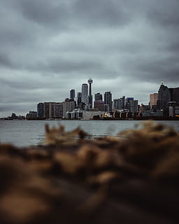aguja Espacial, urbano, ciudad, naturaleza, edificio, edificio de oficinas, al aire libre, clima, pueblo, arquitectura, metrópoli, puente, tormenta, Alto, agua, hojas, Toronto, otoño, torre cn, horizonte, exterior del edificio, estructura construida, nube - cielo, cielo, paisaje urbano, horizonte urbano, rascacielos, edificio de oficinas exterior, altura maxima, nadie, paisaje, mar, moderno, Distrito financiero, 4K, CC0, dominio público, libre de derechos