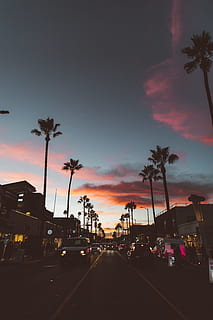 foto di silhouette, macchine, d'oro, ora, strada, Cloudscape, albero, tramonto, Alba, all'aperto, auto, veicolo, prospettiva, viaggio su strada, viale, città, urbano, viaggio, trasporto, Palma, Los Angeles, la, abbot kinney, Venezia, cielo, mezzi di trasporto, veicolo a motore, nuvola - cielo, pianta, clima tropicale, modo di trasporto, natura, nessuno, colore arancione, veicolo terrestre, architettura, silhouette, 5K, CC0, dominio pubblico, privo di copyright