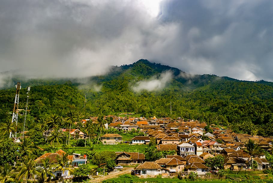 huse, omgivet, træer, arkitektur, bygninger, skyer, overskyet, kokos træer, miljø, græs, bakke, indonesien, landskab, bjerg, natur, Palmer, boliger, boligområde, himmel, by, tropisk, dal, bygning udvendig, bygget struktur, sky - himmel, træ, plante, bygning, skønhed i naturen, ingen mennesker, scenics - natur, jord, dag, hus, udendørs, bybilledet, 5K
