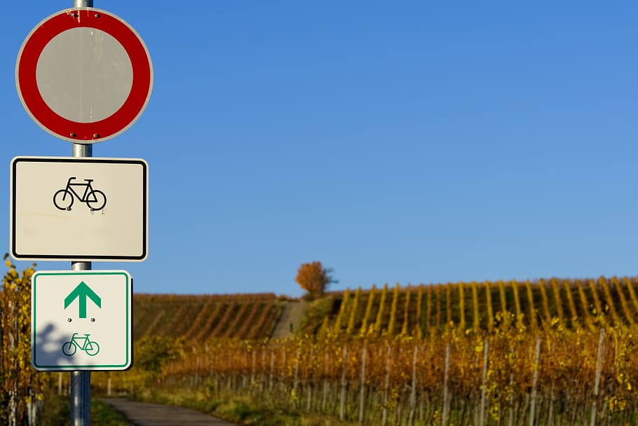 escut, personatges, símbol, fullatge de tardor, colors de la tardor, groc, taronja, Carril bici, senyal de trànsit, cartell de carrer, roda, carretera, nota, senyal, directori, vinyes, cel, blau, prohibició, bloqueig, signe, comunicació, orientació, naturalesa, terra, representació humana, cel clar, cap gent, signe d'informació, còpia espai, símbol de fletxa, informació, assolellat, dia, a l'aire lliure, 5K