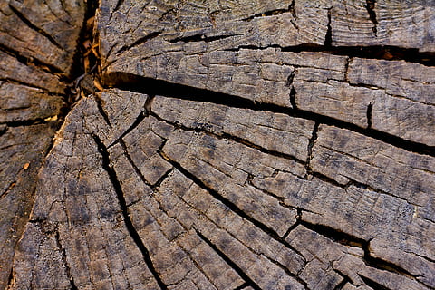 áspero, naturaleza, modelo, textil, ladrar, textura, seco, madera, lena, antiguo, árbol, superficie, resumen, grieta, fondo, color, formas, patrones, abstracción, líneas, bosque, el maletero, agrietado, grietas, natural, otoño, marrón, fondo abstracto, cortar tronco, fractura, texturizado, material de madera, fotograma completo, antecedentes, de cerca, nadie, día, luz del sol, tronco de arbol, al aire libre, patrón natural, anillo de arbol, efecto texturizado, concéntrico, 5K, CC0, dominio público, libre de derechos