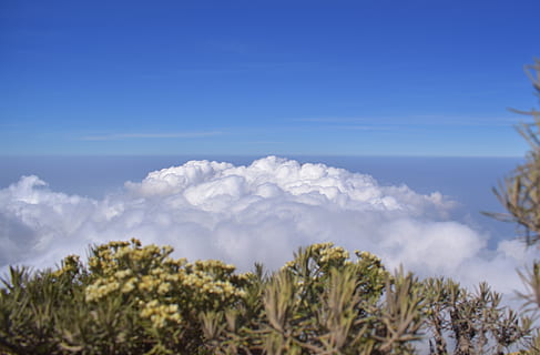 núvols, cel, cim, superior, muntanya, merbabu, indonèsia, paisatge, aventura, viatjar, tropical, planta, bellesa a la natura, naturalesa, escenics - natura, núvol - cel, tranquil·litat, cap gent, còpia espai, blau, escena tranquil·la, dia, creixement, arbre, a l'aire lliure, Color blanc, frescor, idíl·lic, escena no urbana, 4K, CC0, domini públic, lliure de regalies