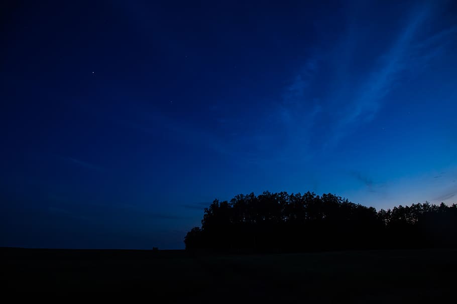 naturalesa, cel, núvols, nit, arbres, ombres, silueta, blau, blanc, negre, arbre, tranquil·litat, escenics - natura, escena tranquil·la, planta, estrella - espai, bellesa a la natura, cap gent, paisatge, espai, terra, medi ambient, astronomia, fosc, vespre, llum de la lluna, 2K