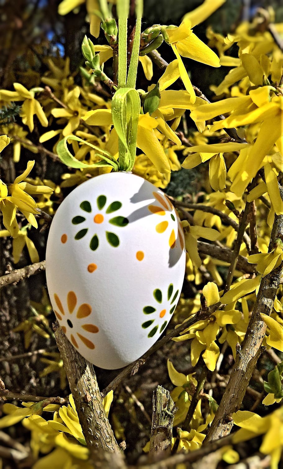 อีสเตอร์, ไม้พุ่ม Forsythia, ไข่อีสเตอร์, ประเพณีอีสเตอร์, forsythia ดอกไม้, ความผิดพลาดในช่วงต้น, ไข่ไก่, ทาสี, การตกแต่งอีสเตอร์, ไข่, การเจริญเติบโต, ปลูก, ใกล้ชิด, งานเฉลิมฉลอง, อาหาร, ธรรมชาติ, สีเหลือง, อาหารและเครื่องดื่ม, ไม่มีคน, มุ่งเน้นไปที่เบื้องหน้า, วัน, วันหยุด, สีเขียว, ใบไม้, ส่วนของพืช, เครื่องประดับ, กลางแจ้ง, 2K