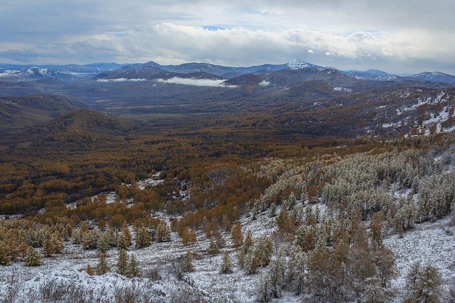 pi, efi, bedoll, bosc, neu, hivern, muntanyes, paisatge, naturalesa, tardor, kuyagan, altai, Rússia, picea, muntanya, bellesa a la natura, medi ambient, temperatura de fred, escenics - natura, cel, núvol - cel, Serra, escena tranquil·la, cap gent, tranquil·litat, escena no urbana, terra, planta, dia, a l'aire lliure, muntanya nevada, cim de muntanya, 5K