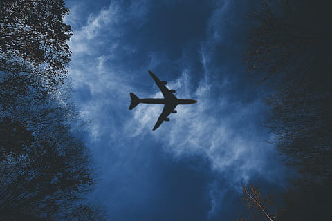 avion peste copaci, avion, avioane, transport, warplane, bombardier, planor, albastru, cer, vehiculul aerian, vedere unghiulară joasă, mijloc de transport, zbor, nor - cer, natură, siluetă, la mijlocul-aer, nici o persoana, copac, călătorie, în aer liber, mişcare, în mișcare, zi, plantă, imediat mai jos, Industrie aerospatiala, 5K, CC0, domeniu public, fără drepturi de autor