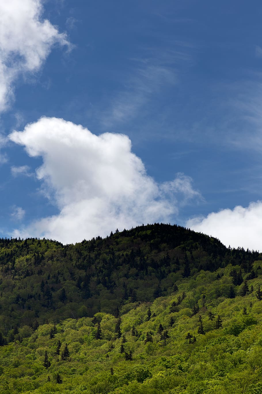 fotografia de paisatge, formació de roca coberta d'arbres, núvols, la llum del dia, bosc, turó, a l'aire lliure, escènic, arbres, imatges de domini públic, núvol - cel, cel, bellesa a la natura, color verd, tranquil·litat, planta, escenics - natura, escena tranquil·la, arbre, medi ambient, creixement, naturalesa, terra, paisatge, cap gent, escena no urbana, dia, muntanya, camp, fullatge, 5K