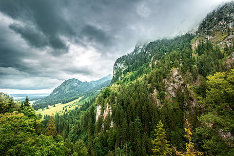 aèria, foto, bosc, núvols, la llum del dia, medi ambient, boira, herba, paisatge, muntanyes, naturalesa, fotografia de natura, a l'aire lliure, escènic, cel, arbres, vall, aigua, fotografia gran angular, fusta, boscos, arbre, núvol - cel, planta, muntanya, escenics - natura, bellesa a la natura, color verd, arbre de coníferes, terra, pi, creixement, cap gent, escena tranquil·la, escena no urbana, Serra, bosc de pi, arbre de fulla perenne, 5K, CC0, domini públic, lliure de regalies