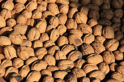noci, quantitativo, noccioline, molti, Marrone, natura morta, nutriente, abbondanza, sfondi, fotogramma intero, grande gruppo di oggetti, Noce, cibo, cibo e bevande, dado - cibo, nessuno, mangiare sano, freschezza, avvicinamento, strutturato, benessere, Al dettaglio, ripetizione, pila, 2K, CC0, dominio pubblico, privo di copyright