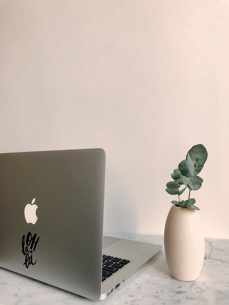foto, MacBook, escriptori de granit, ordinador, contemporani, copyspace, escriptori, llança, lancer, mobles, oficina a casa, portàtil, full, fulles, estil de vida, marbre, superfície de marbre, minimalisme, minimalista, planta, natura morta, taula, gerro, blanc, a l'interior, funció de construcció de parets, cap gent, comunicació, naturalesa, tecnologia, planta en test, flor, representació animal, interior de casa, planta amb flors, tecnologia sense fils, representació, publicació, planta d'interior, 4K