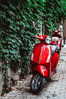 scooter automático rojo, rojo, transporte, modo de transporte, día, planta, árbol, scooter, nadie, estacionario, vehículo terrestre, pared, al aire libre, sendero, motor de scooter, naturaleza, color verde, crecimiento, pared - característica de la construcción, viaje, arquitectura, rueda, 2K, CC0, dominio público, libre de derechos