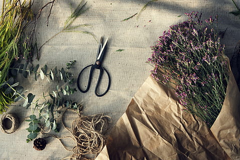 saks, blomst, blomster, snor, brunt papir, blomsterhandler, håndværk, sejlgarn, blad, blade, indretning, natur, bord, fladt læg, reb, ægte, grankogle, fyrretræ, ingen, cykel, udendørs, hjul, cykling, ingen mennesker, retro stylet, gade, gammeldags, gammel, græs, sommer, cyklus, kopiere plads, transportmidler, livsstil, 4K, CC0, offentligt domæne, royaltyfrie