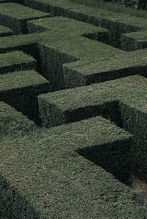 zelený topiary, nikdo, celý rám, pozadí, vzor, Příroda, den, vysoký úhel pohledu, stín, venku, rostlina, pevný, kámen, přistát, v řadě, zelená barva, tráva, texturou, kámen - objekt, klid, tvar, živý plot, beton, 4K, CC0, veřejná doména, bez autorských práv