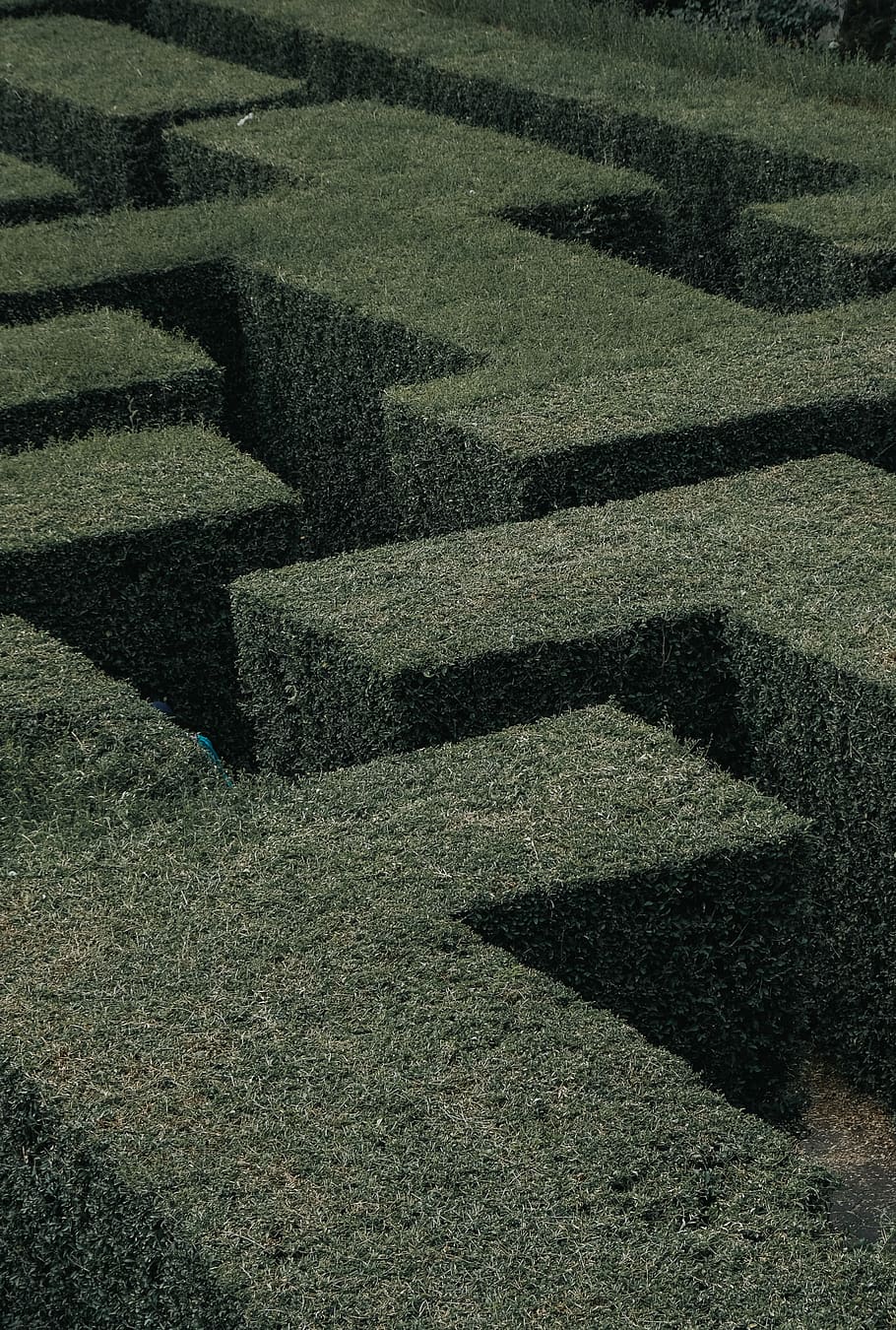 zelený topiary, nikdo, celý rám, pozadí, vzor, Příroda, den, vysoký úhel pohledu, stín, venku, rostlina, pevný, kámen, přistát, v řadě, zelená barva, tráva, texturou, kámen - objekt, klid, tvar, živý plot, beton, 4K
