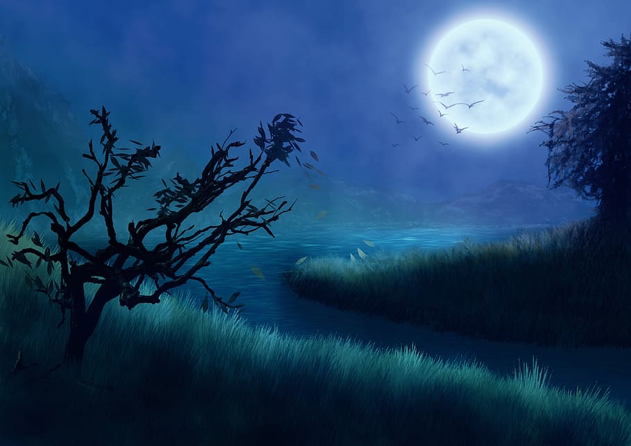 fantasia, imatge de fons, lluna, arbres, prat, llac, muntanyes, surrealista, plantilla, blau, nit, humor, emoció, composició, boira, Conte de fades, místic, tardor, fulles, vent, il·luminació, foscor, estrany, cel, arbre, naturalesa, planta, lluna plena, escenics - natura, bellesa a la natura, aigua, escena tranquil·la, tranquil·litat, núvol - cel, a l'aire lliure, cap gent, vespre, idíl·lic, volant, astronomia, compost digital, llum de la lluna, Lluna planetària, 4K