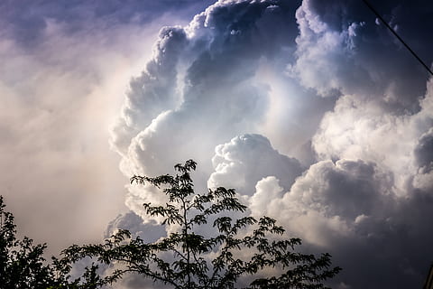 himmel, skyer, træer, natur, mørk, sky - himmel, skønhed i naturen, træ, scenics - natur, ingen mennesker, miljø, dramatisk himmel, storm, lav vinkel visning, cloudscape, solstråle, ro, dag, udendørs, sollys, plante, overskyet, ildevarslende, magt i naturen, 5K